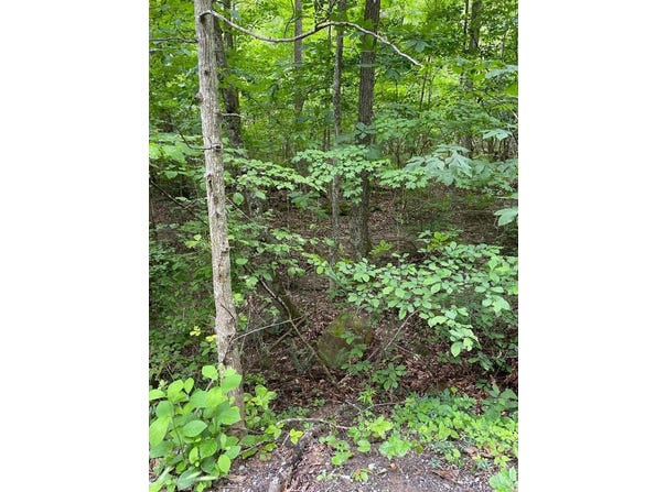 0 Sandlick Road, PRINCETON, WV 24740
