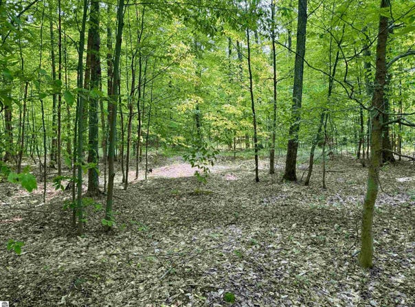 00 Honeybee Road, Empire, MI 49621