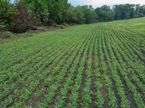TBD Helmet Rd, Princeton, MO 65673