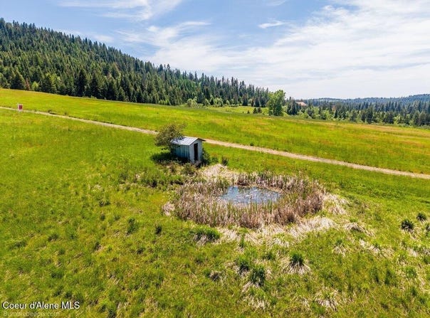 Tract C Thimbleberry Lane, Plummer, ID 83851