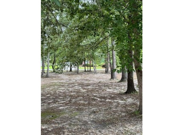 813 Bentwood Circle, Manning, SC 29102