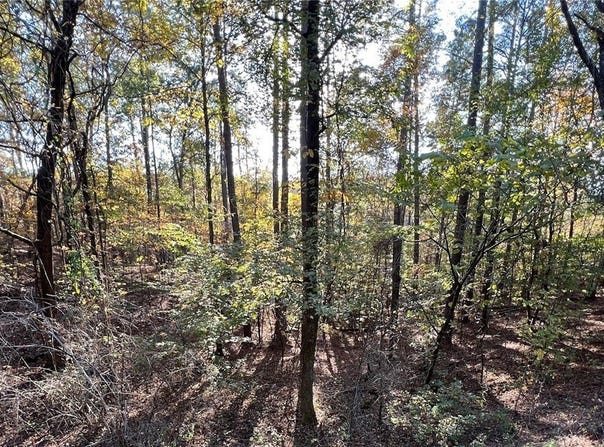 Allison Drive lot: 5, McCalla, AL 3511