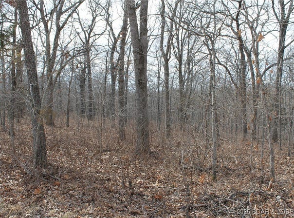 Anne Drive, Edwards, MO 65326