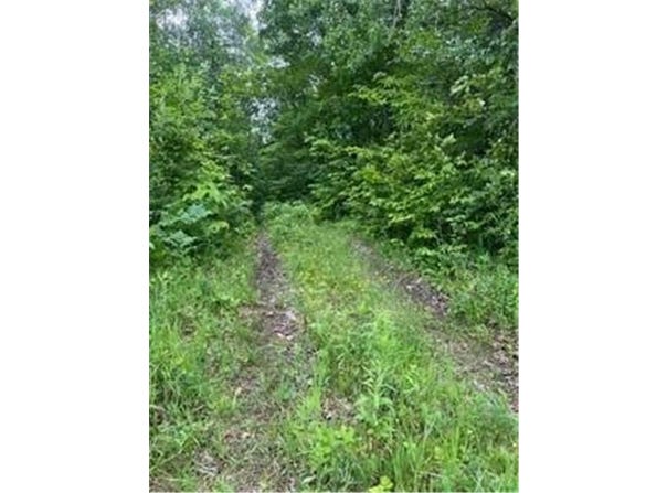 26259 County Road 26, Garrison, MN 56450