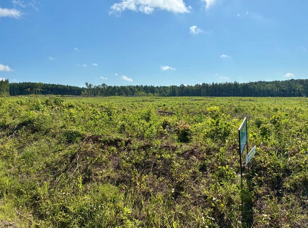 0 CB Byrd Rd. (Tract 1, Section 1, T7N-R11W) UNRESTRICTED, Many, LA 71449