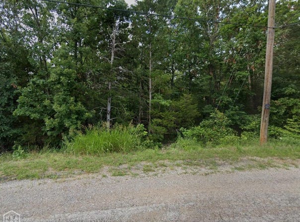 14 Blackfoot Drive, Cherokee Village, AR 72529