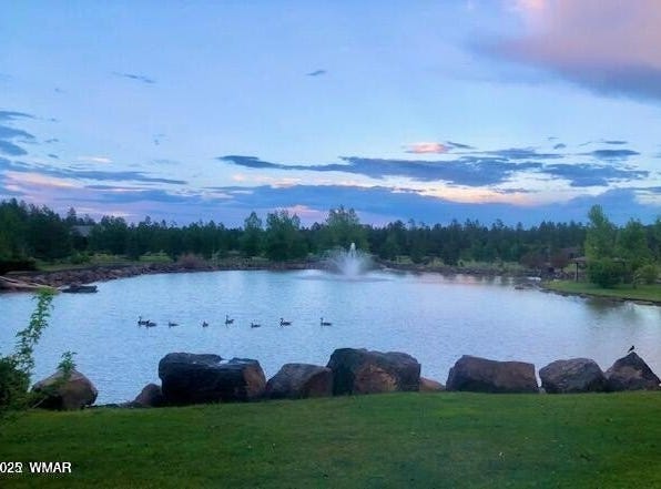 9576 Sierra Springs Drive, Pinetop, AZ 85935