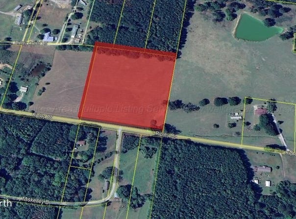 0 RIPLEY Rd, Carbon Hill, AL 35549