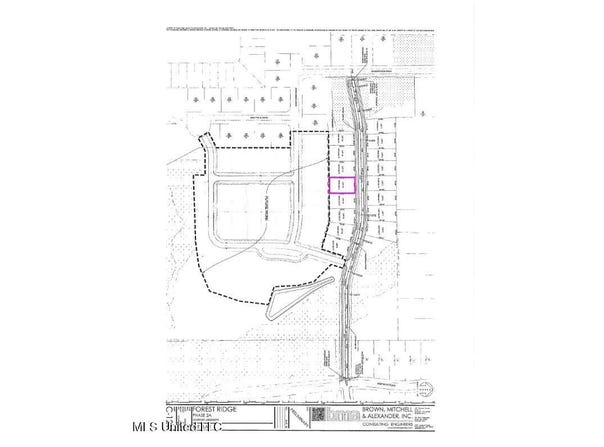 Orchard Street, Gulfport, MS 39503
