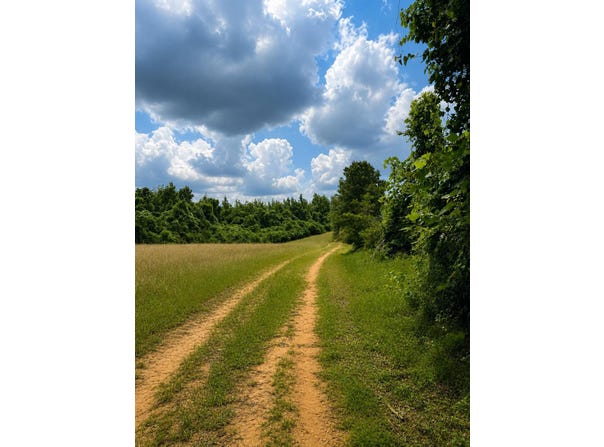 Settlement Road, Detroit, AL 35552
