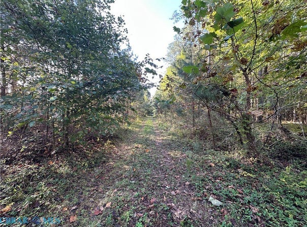 Plainview Drive, Saluda, VA 23149