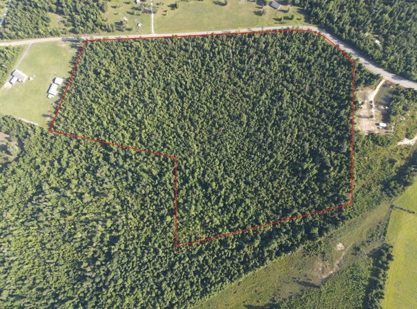 TBD NW Shuman Ferry Rd., Altha, FL 32421
