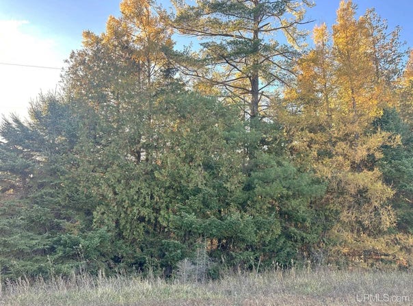 Kay Dr K1, Stephenson, MI 49887
