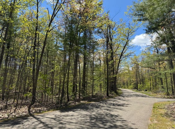 Eastridge Drive, Gaylord, MI 49735