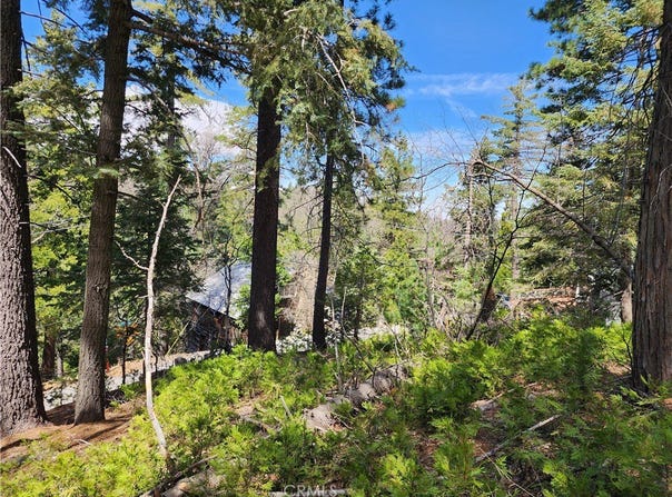 586 Rose, Twin Peaks, CA 92391