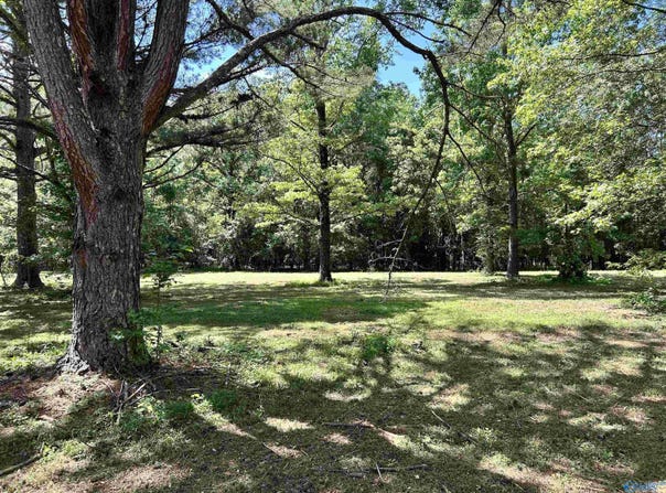 135 County Road 692, Cedar Bluff, AL 35959