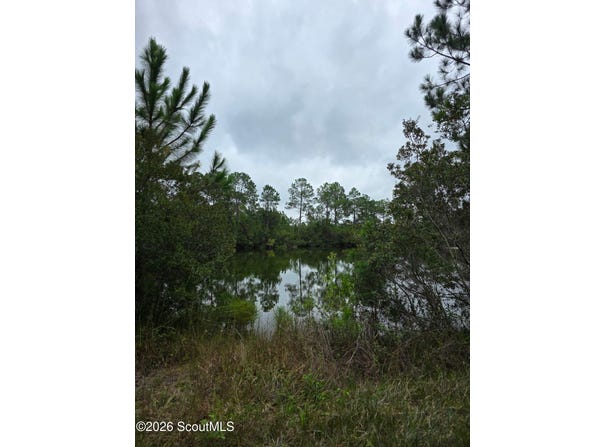 Carter Community Road, Folkston, GA 31537