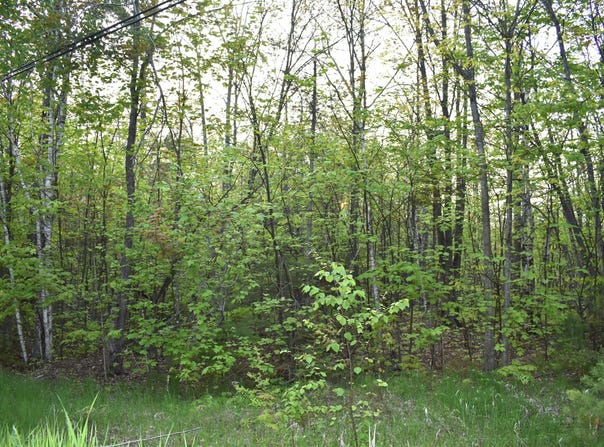 14236 Straitsview Drive, Cheboygan, MI 49721
