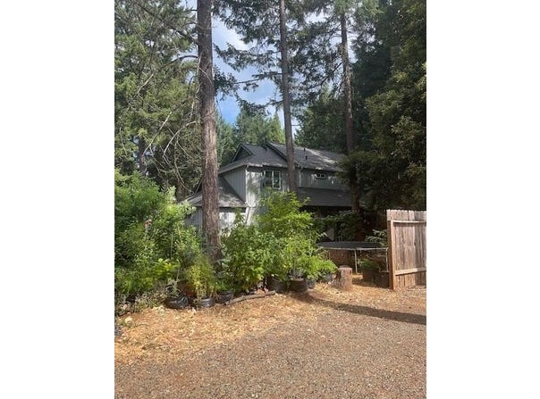 455 Addison Lane, Cave Junction, OR 97523