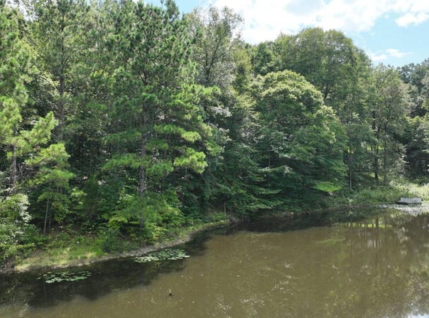 Oak Creek Rd, Fayette, AL 35555