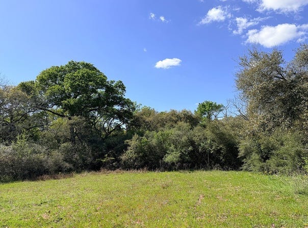 000 Loose Cow Road, Garwood, TX 77442
