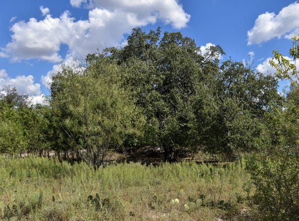 904 E 6th, Brady, TX 76825