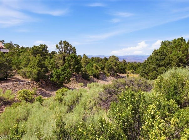 155 Oak Trail Circle, Cold Creek, NV 89124
