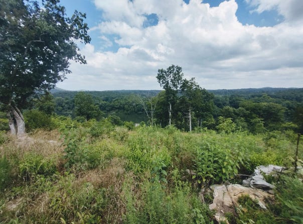 Ridge Top rd, Melbourne, AR 72556