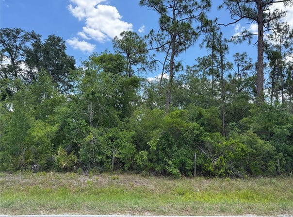 SW FLORIDA ROAD, ARCADIA, FL 34266