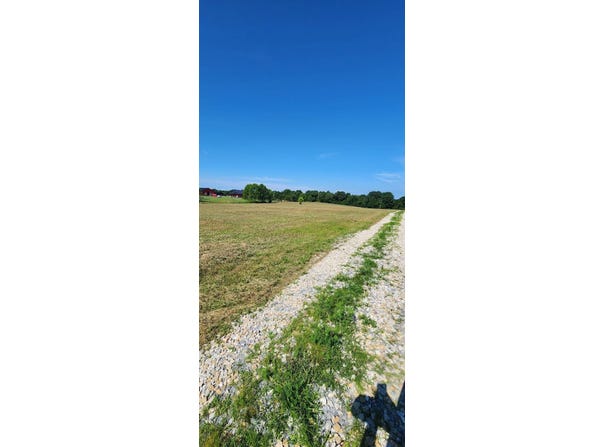 0 Hester Ridge Road, Wallingford, KY 41093