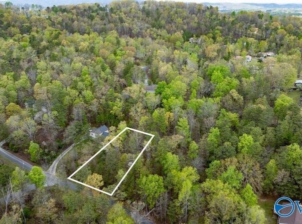 Lot 62 Dianne Avenue, Southside, AL 35907