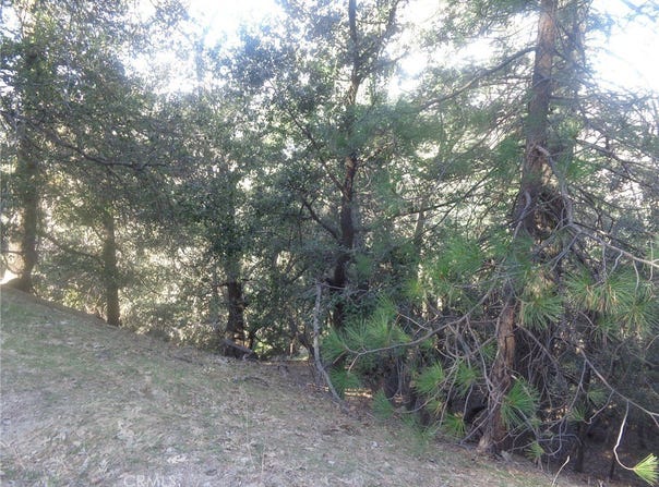 72 Chillon Lot, Crestline, CA 92325