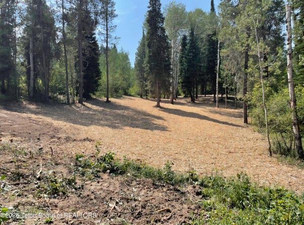 ALPINE MEADOW Loop lot: 13, Alpine, WY 83128
