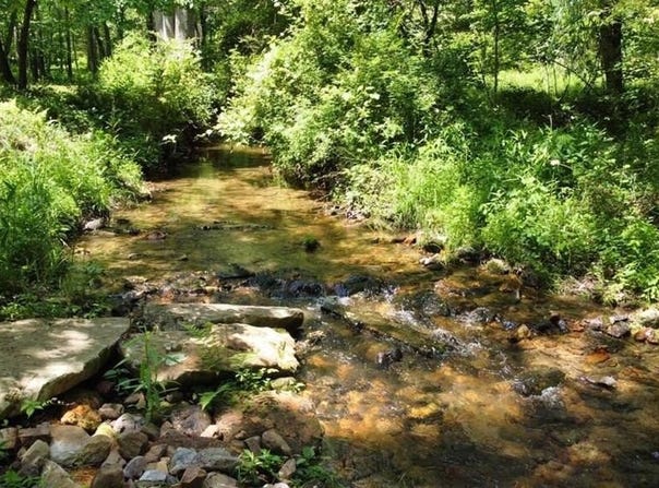 Tract 1 Timber Ridge Road, Blairsville, GA 30512