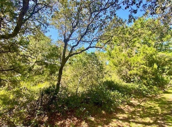 Indiana Ave lot: 1, Cedar Key, FL 32625