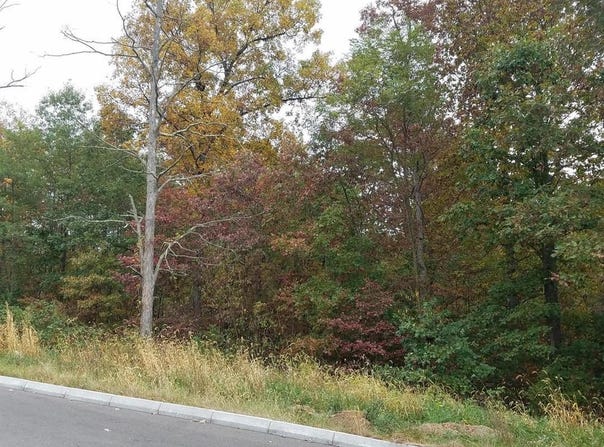 13902 ROLLING OAK DRIVE, ELLERSLIE, MD 21529
