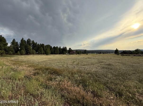 213 HIGH POINT Drive, Mormon Lake, AZ 86038