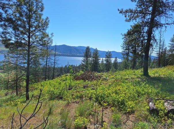 TBD INCHELIUM HWY, KETTLE FALLS, WA 99141