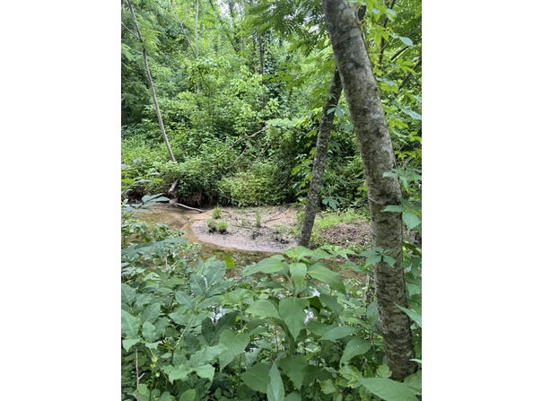 Geeville Road, Dumas, MS 38625