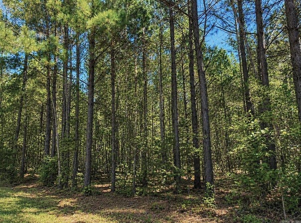 84 Grant 733, Sheridan, AR 72150