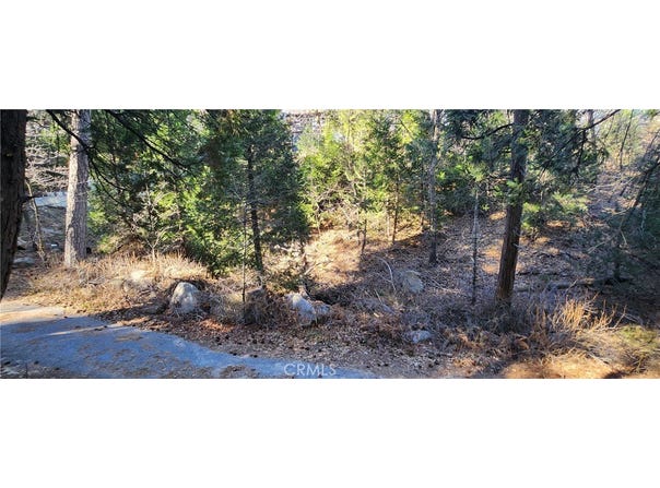 MEADOW Drive, Lake Arrowhead, CA 92352