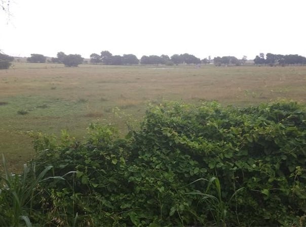 Tbd Blair Road, Waxahachie, TX 75165