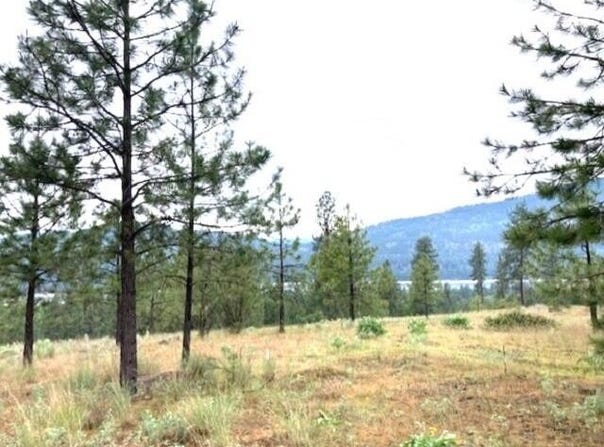 1321 SUNSET WAY, KETTLE FALLS, WA 99141