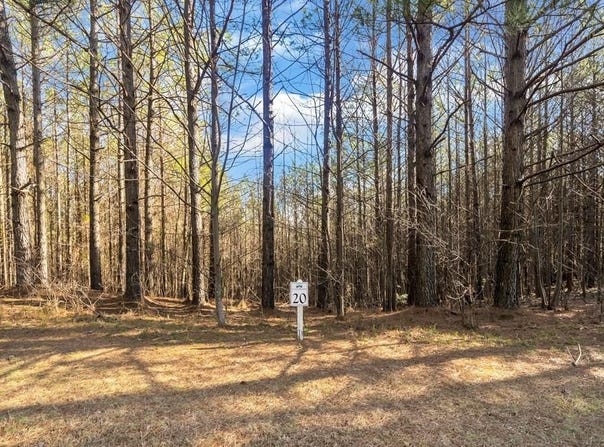 Foxpaw Leaf Lane, Ellijay, GA 30536