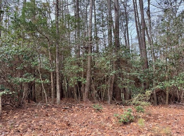270&276 Ridge Road, LANCASTER, VA 22503