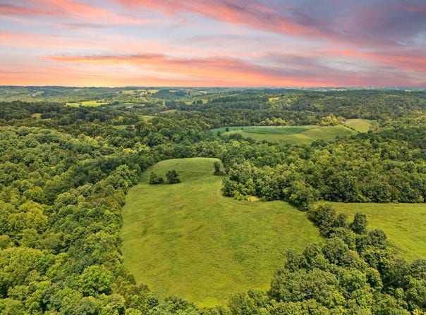 2889 Tea Run Road, Ewing, KY 41039