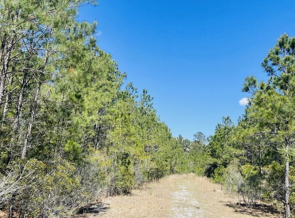 Skylee Dr, Shallotte, NC 28470