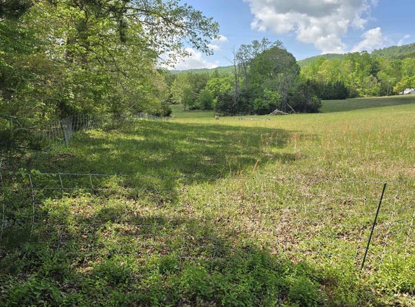 FLATWOODS Road, Elliston, VA 24087