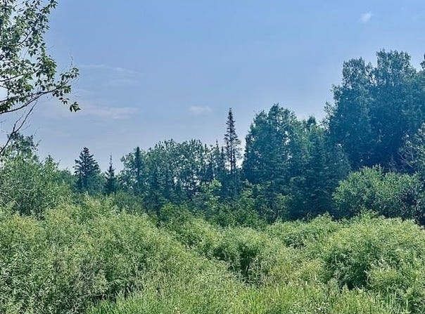 TBD Admiral Road, Iron, MN 55751