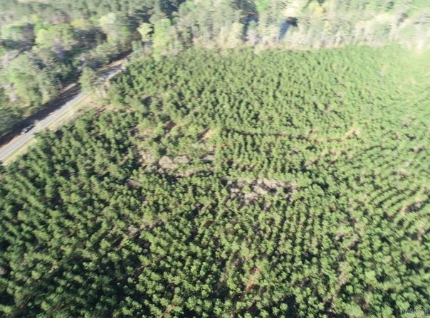 10-19-11 Dollar Junction Rd, Huttig, AR 71747